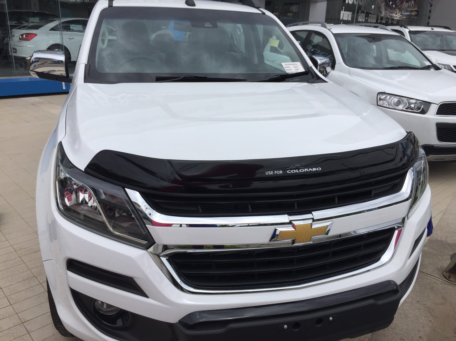 กันแมลง