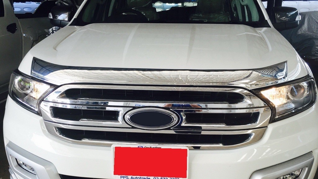 คิ้วกันแมลงหน้า